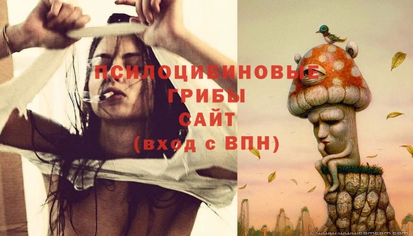 ECSTASY Абинск