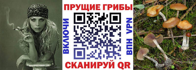 ссылка на мегу ONION  Весьегонск  Псилоцибиновые грибы прущие грибы  закладки 